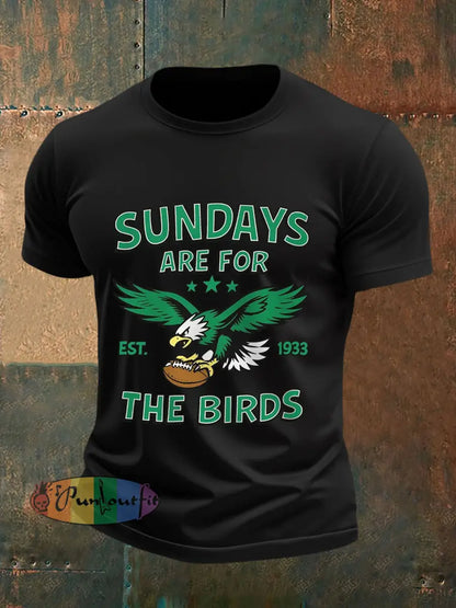 Men’s Sundays Are For The Birds Football Fans Lovers Gameday Casual Tee Black / S